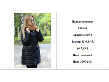 206-1 (�������, ��� �� ����)