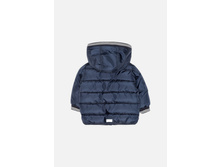 22150130004   Auriga        -     (      ).jpg