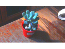 ��������� ����������