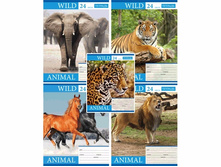 ������� 24� �� ����� ������� 24-2709 11,45��� 1��.jpg