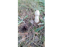 IMG 20170820 174516.jpg