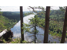 ��� � ����� ��������