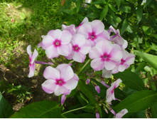 ����������� 085.jpg