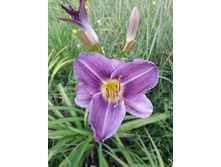 22-130 ��� ��������.jpg