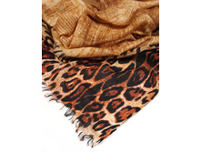 DR3-1556 - 450 �..jpg