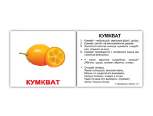 �������� �������� ����-40 "������" �������: 0485 - 129 ���.