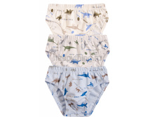 ������ 3097.jpg