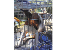 IMG 20170812 110537.jpg