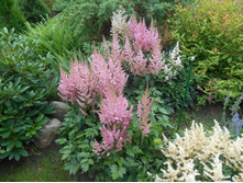 �������� ��������� - 150 ���.