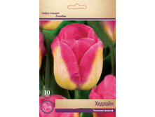 ������� �������.jpg