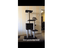 ���������� �������� "��������" 170��