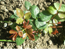 ���� "���������".JPG