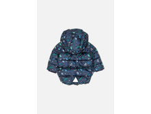 22150130005   Pegasus        -     (      ).jpg