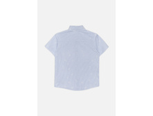 20120290018   Ron          (      ).jpg