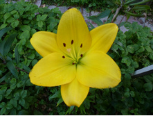 ����������� 097.jpg