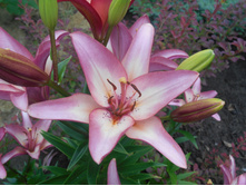 ����� ��������� �������� 100 ���.