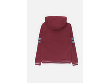 20110130104   Handi           (      ).jpg