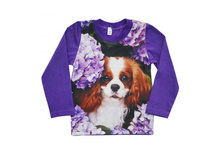 ����� 3D �������� �� ������� (������ � ������),  314�.