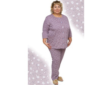 ������ ��������� �����.JPG