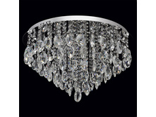 464011318 22000� (44��).jpg