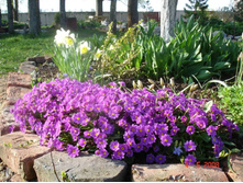 ������� ���� 100�.jpeg