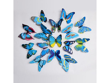 ������������ 7 �����.jpg