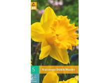 305.530, ������� (Narcissus) Dutch Master, 5 �� � ��������, 157���+18%, 2��.jpg