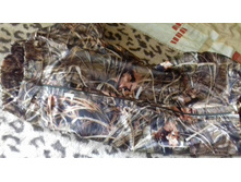 ��������. �������� ����