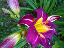 IMG 20170816 192903.jpg