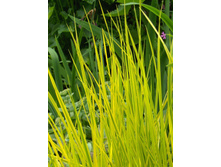 ��������� �������. 100�.jpeg