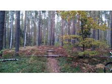 IMG 20170930 133442.jpg