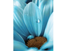 ����� ���� 38�48 Ag 373.jpg