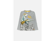 20120100089   Singer        (   ).jpg