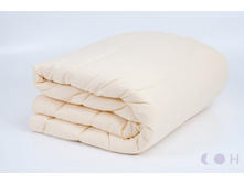 ������ �������� �����������, ����������� - ������ ���� ��������, ��������� 200�/��.�., ����� - ��������� (����������), ��������� 110�/��.�. 200*220