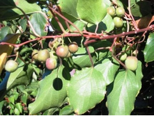 ��������� ��������� �������� ���� 1�� 180�.jpeg