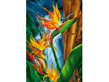 ����� ���� 48�70 Ag 575.jpg