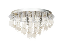 394010412 12000� (24��).jpg