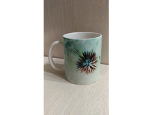 IMG 20170908 170021.jpg