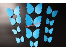 .���������� ���. ����5.jpg