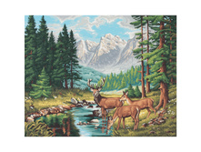 40�50 ��, ������ ������, 1/6 1688 ���.