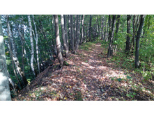 IMG 20170924 144941.jpg