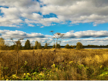 P 20170924 134051 HDR.jpg