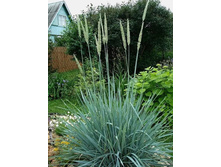 ������ ��������� 140�.jpeg