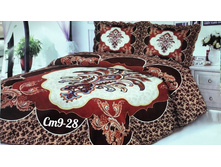 Ps928 348174 ��������� ��������� � ����� �����������, ������.jpg