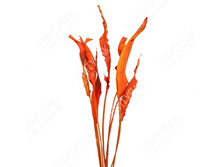 9874 ������ ��������� �� 85 �� 90 �� 10 �� � �������� (����-�������) 329� — �����.jpg