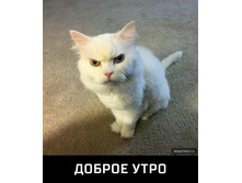 Ab62601ae63556bc3b4980e0758251106d3c81b8edbfecc512a65d9aabf7681a 1.jpg