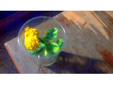 ������� ����������