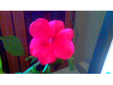 ��������� 1