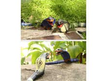 � ����.����