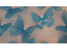 .���. ���� ����������2.jpg